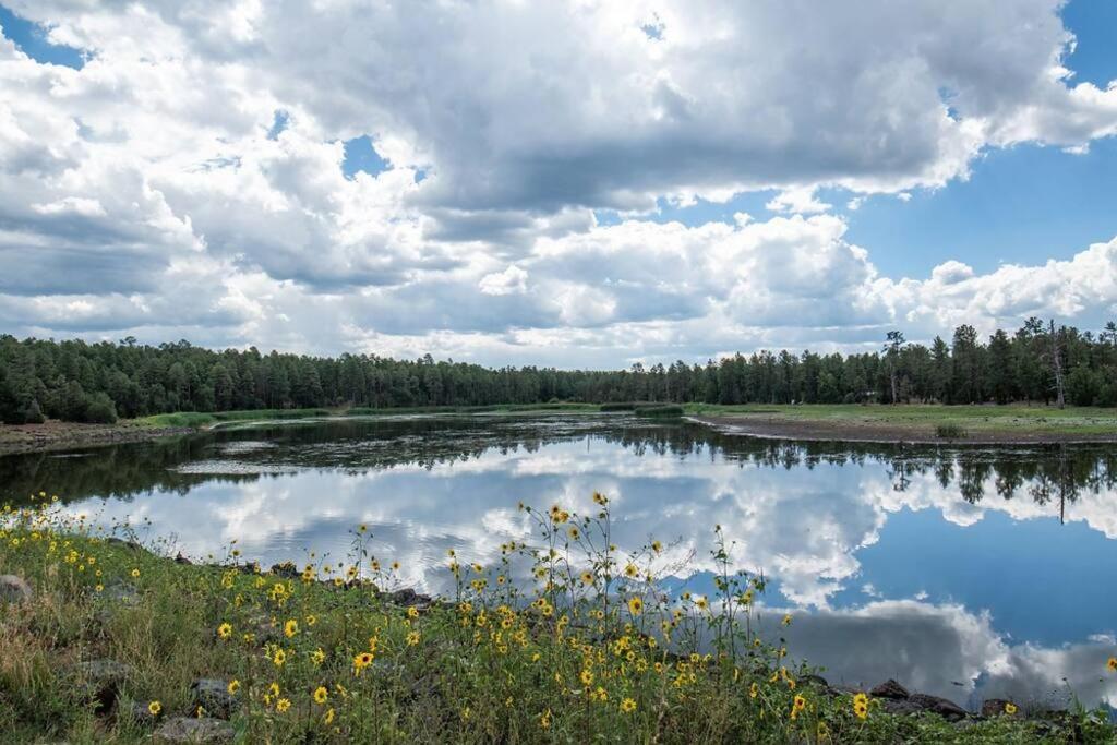 Pine Cone Cabin Villa Pinetop-Lakeside Esterno foto